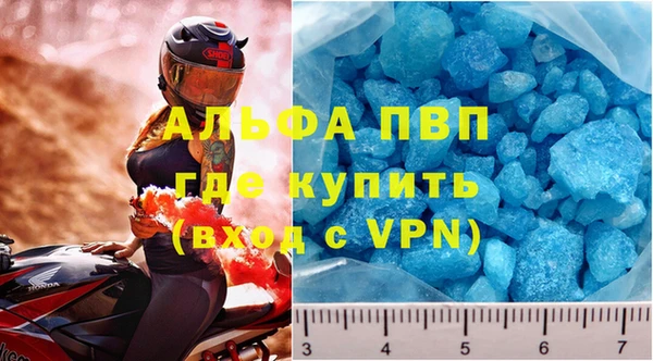 прущие грибы Апатиты