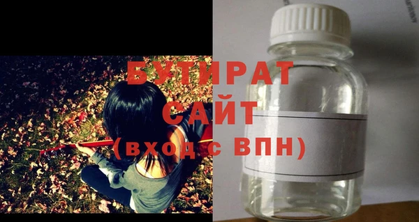 прущие грибы Апатиты