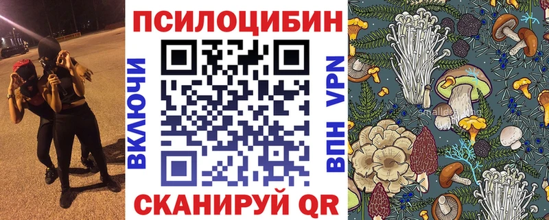 hydra вход  Нахабино  Галлюциногенные грибы Magic Shrooms 